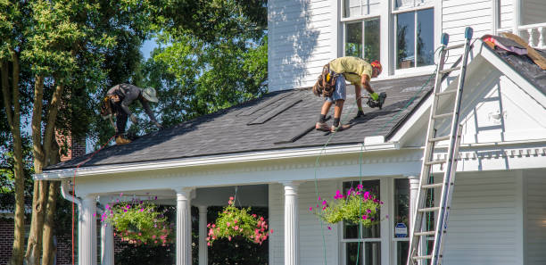 Best Roof Insulation Installation  in Hazen, ND